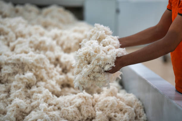 The Rise of Sustainable and Eco-Friendly Fashion